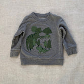 Dinosaur Sweatshirt